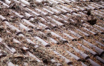 Northleigh roof cleaning companies