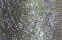 Northleigh fibreglass roof work